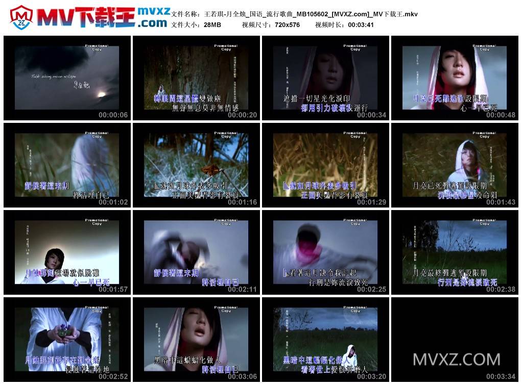 王若琪-月全烛_国语_流行歌曲_MB105602